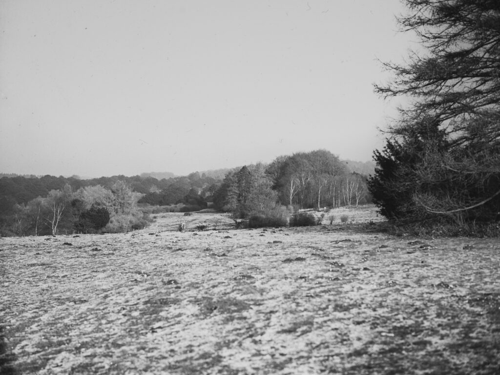 B62-Mickleham-Downs-Surrey-1939