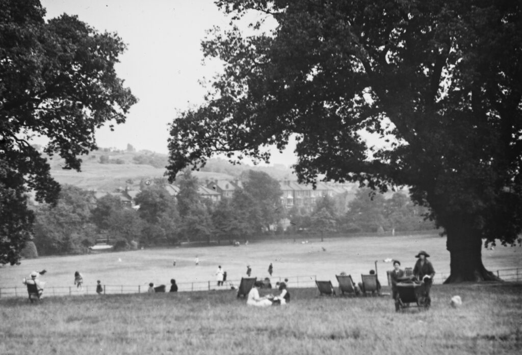 C12-Brockwell-Park-view