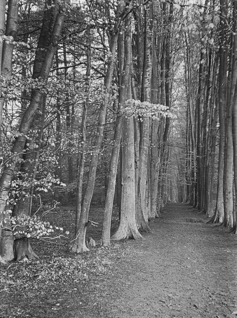 H55-Farnborough-Kent-Cuckoo-Walk-1934