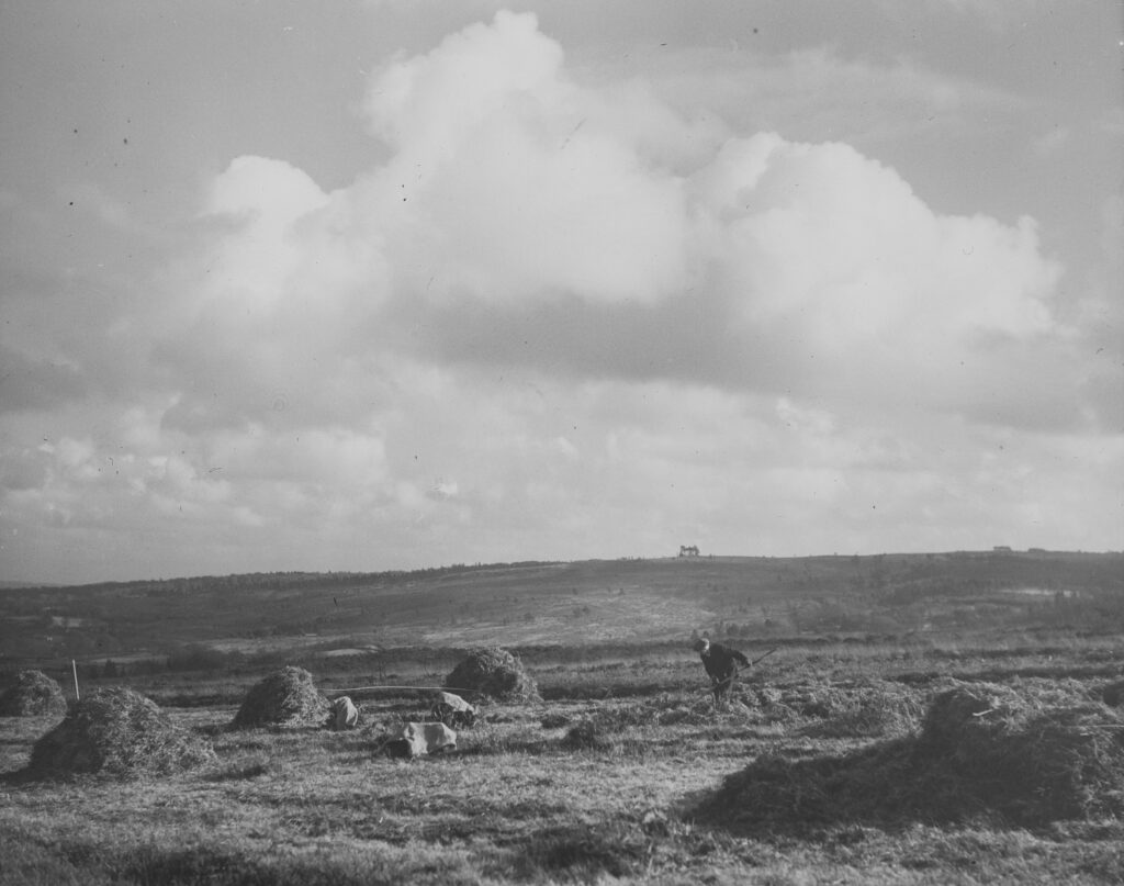 I22-Ashdown-Forest-1932-haymaking