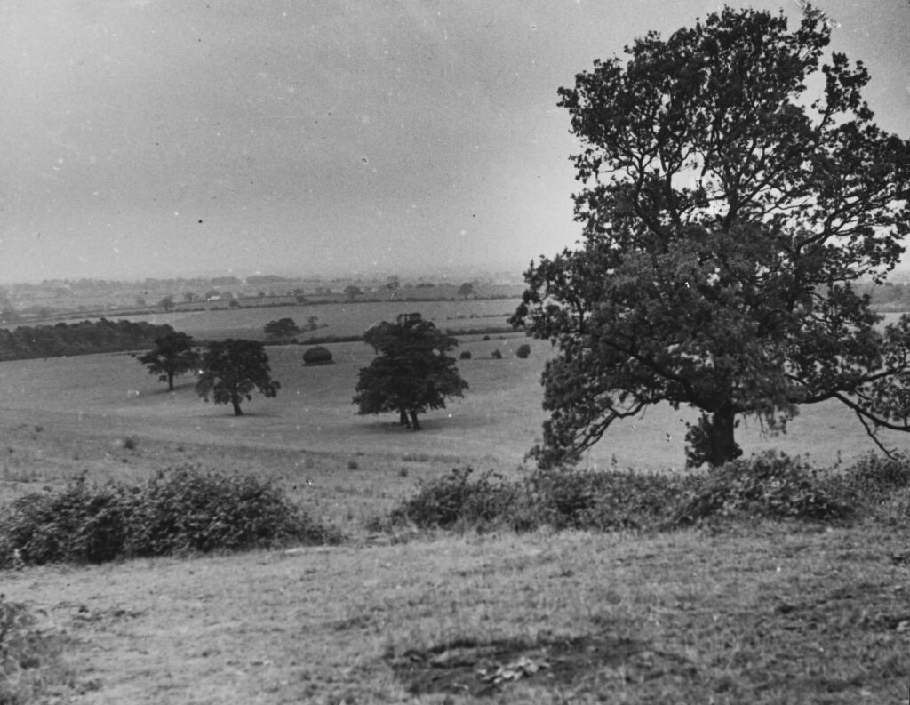 I34-Hainault-Forest-extension