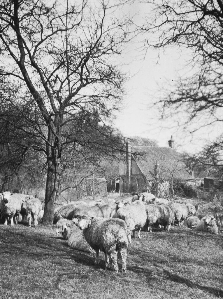 H11 Pilgrims Way, near Chatham, Kent 1929